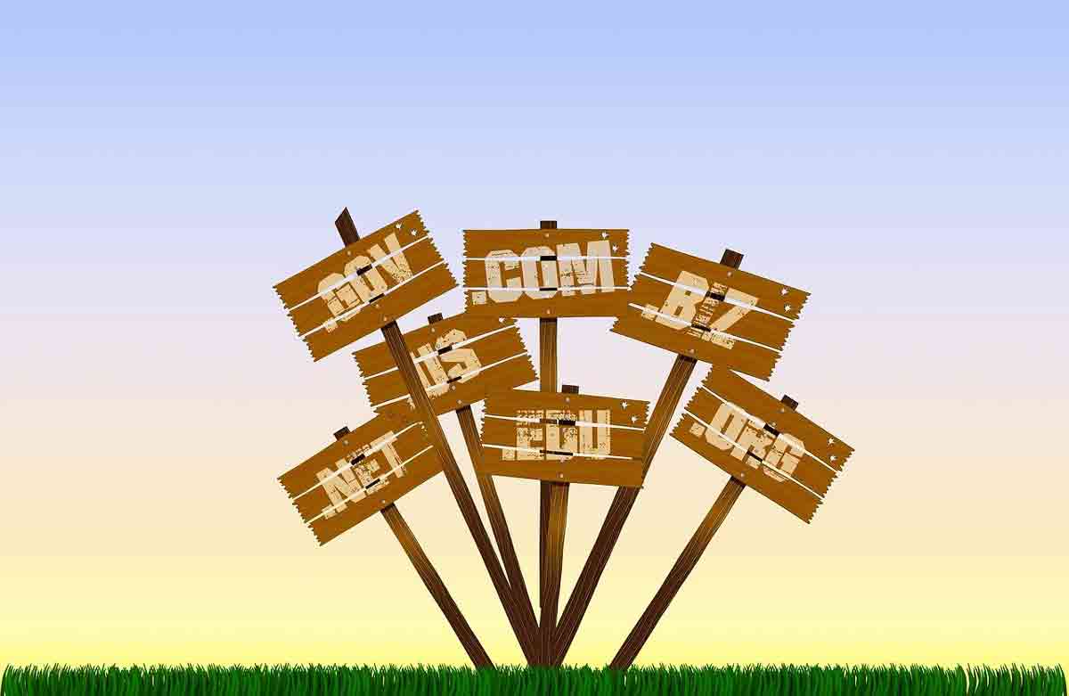 Domain Management Services Chennai